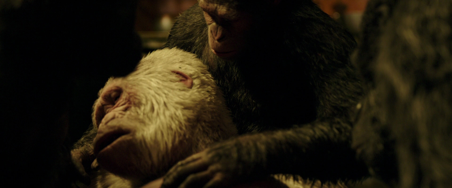 War for the Planet of the Apes (2017) movie still 4324