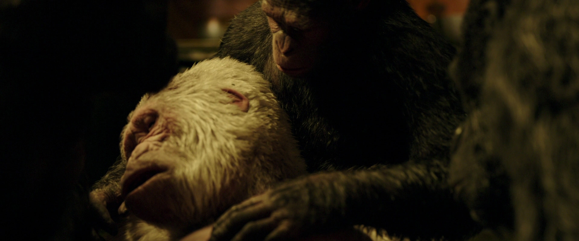 War for the Planet of the Apes (2017) HD screenshot 4325