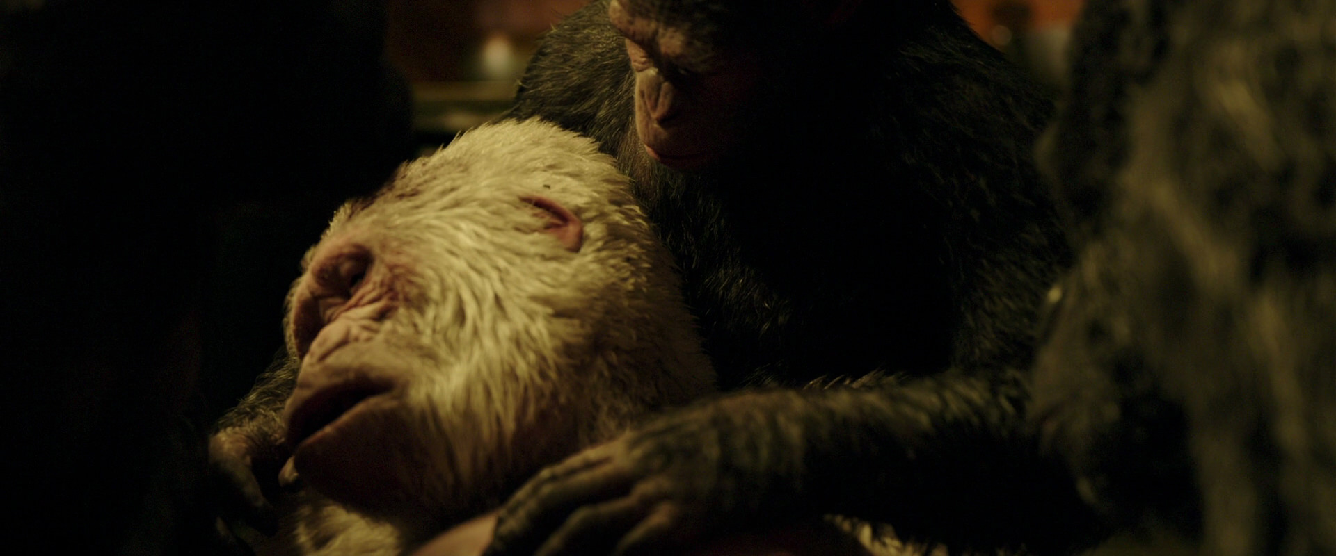 War for the Planet of the Apes (2017) movie still 4327