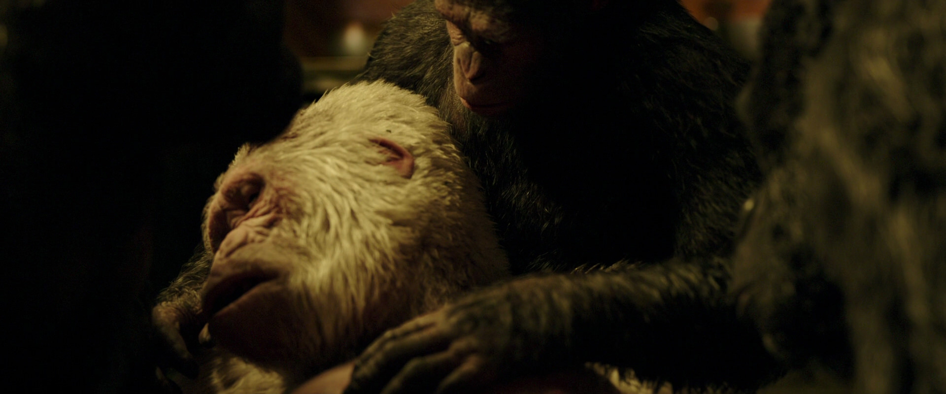 War for the Planet of the Apes (2017) HD screenshot 4328