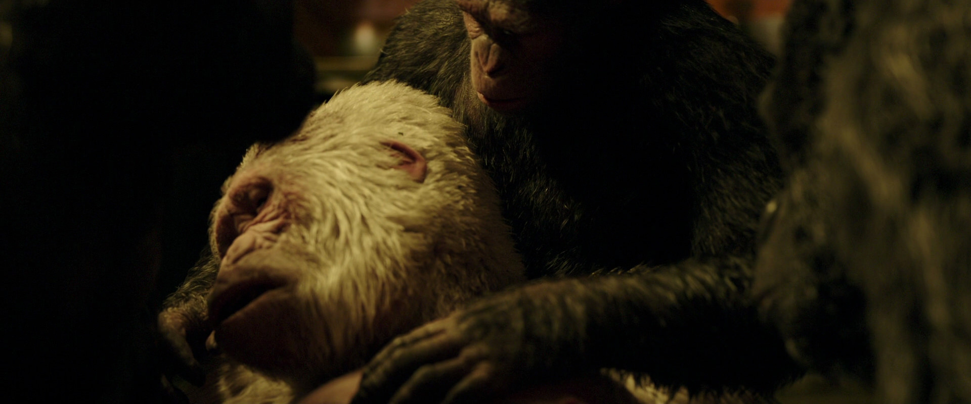 War for the Planet of the Apes (2017) screencap 4329