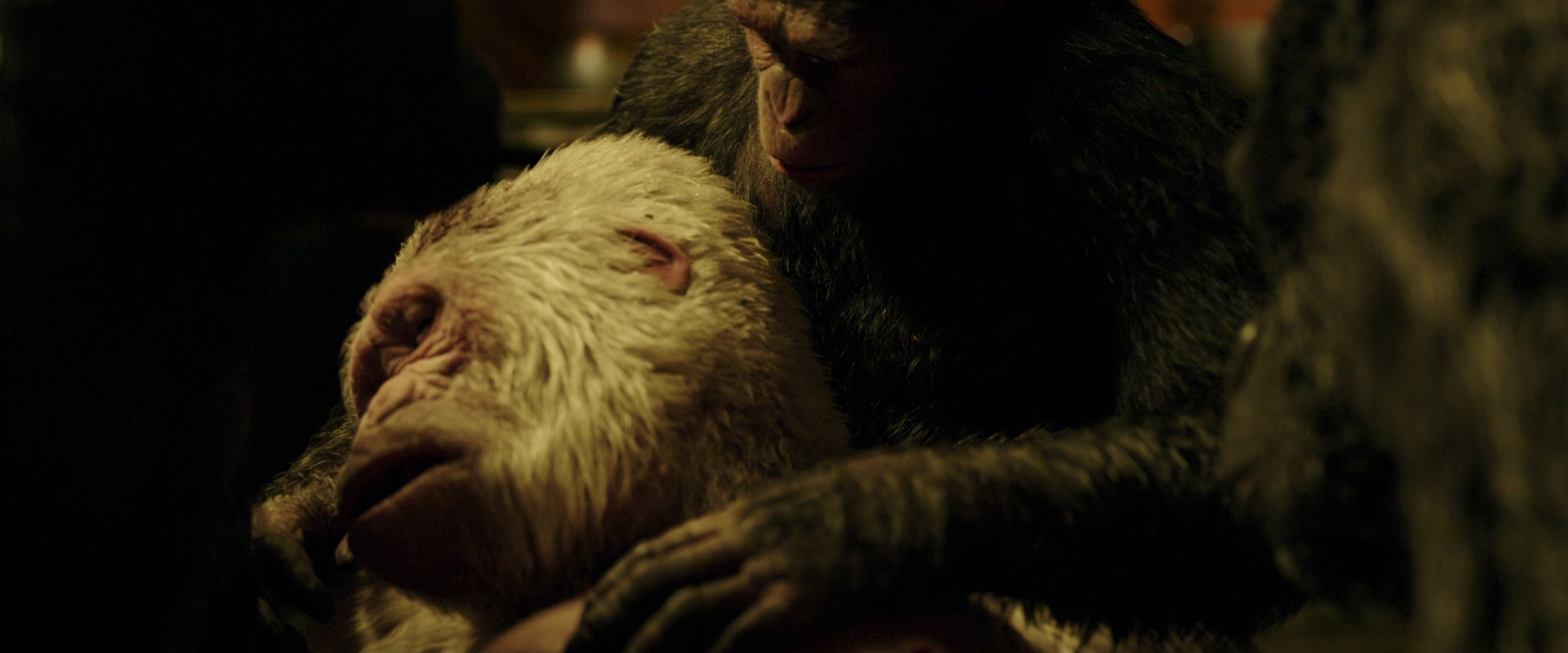 War for the Planet of the Apes (2017) movie still 4330