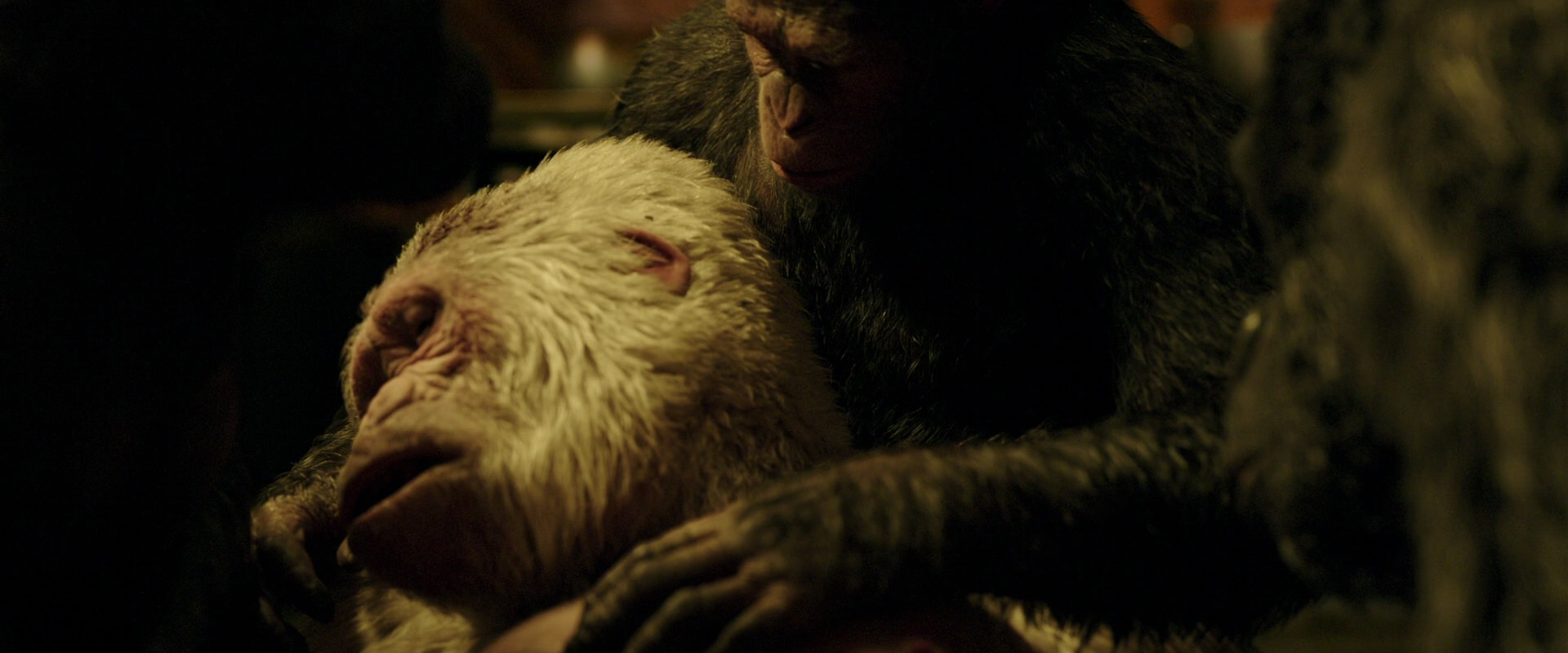 War for the Planet of the Apes (2017) HD screenshot 4331