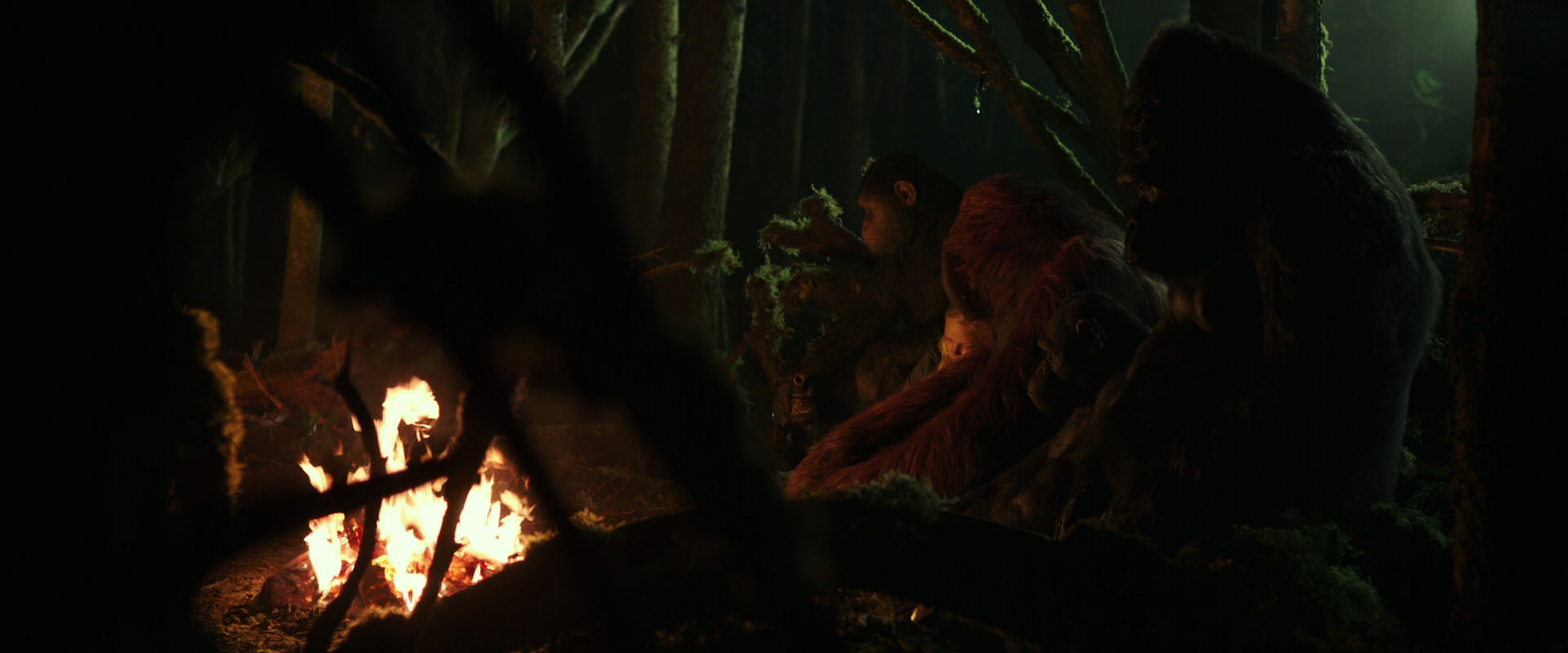 War for the Planet of the Apes (2017) screencap 4332
