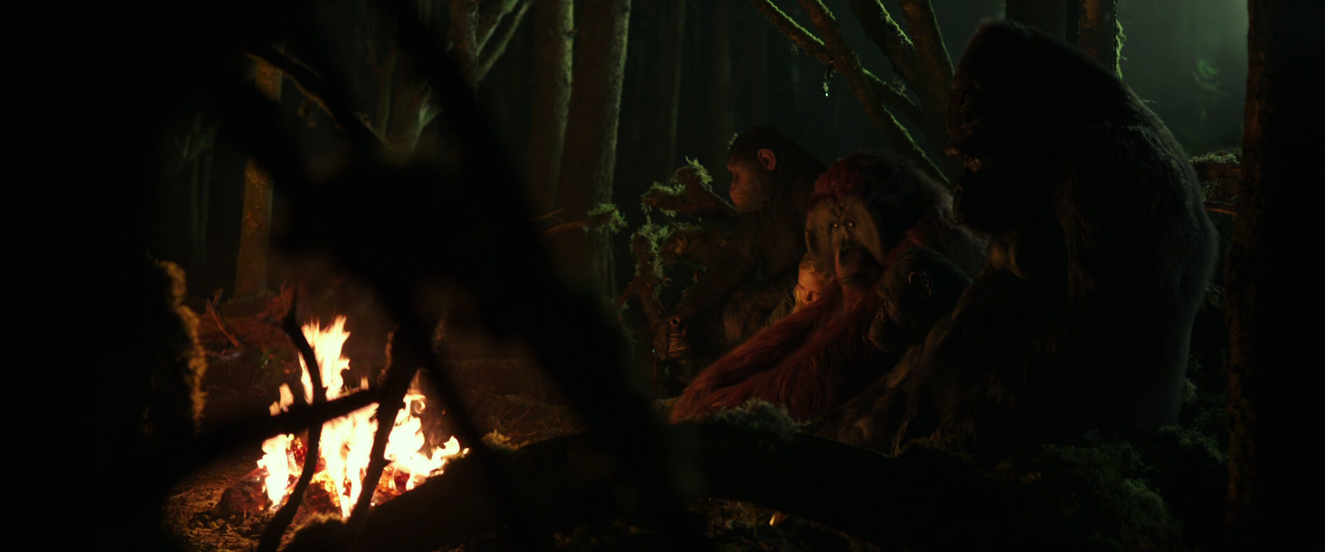 War for the Planet of the Apes (2017) screencap 4335