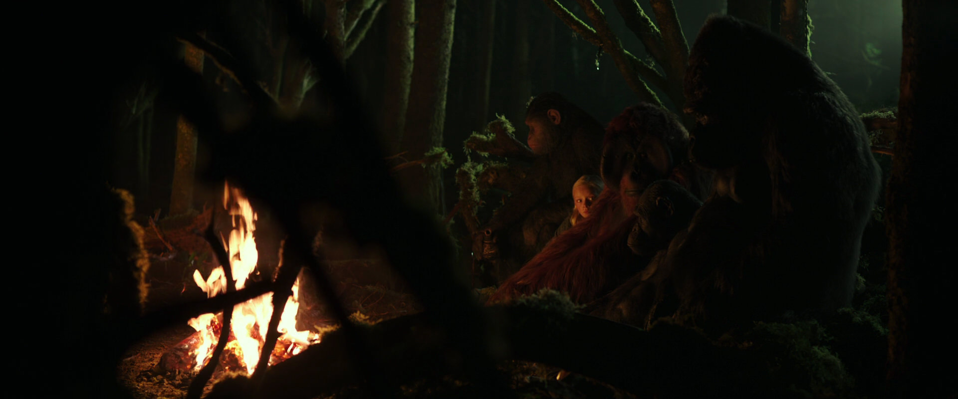 War for the Planet of the Apes (2017) screencap 4338