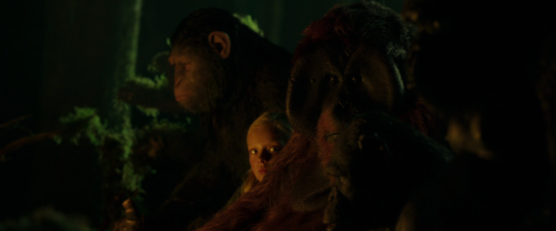 War for the Planet of the Apes (2017) movie still 4339