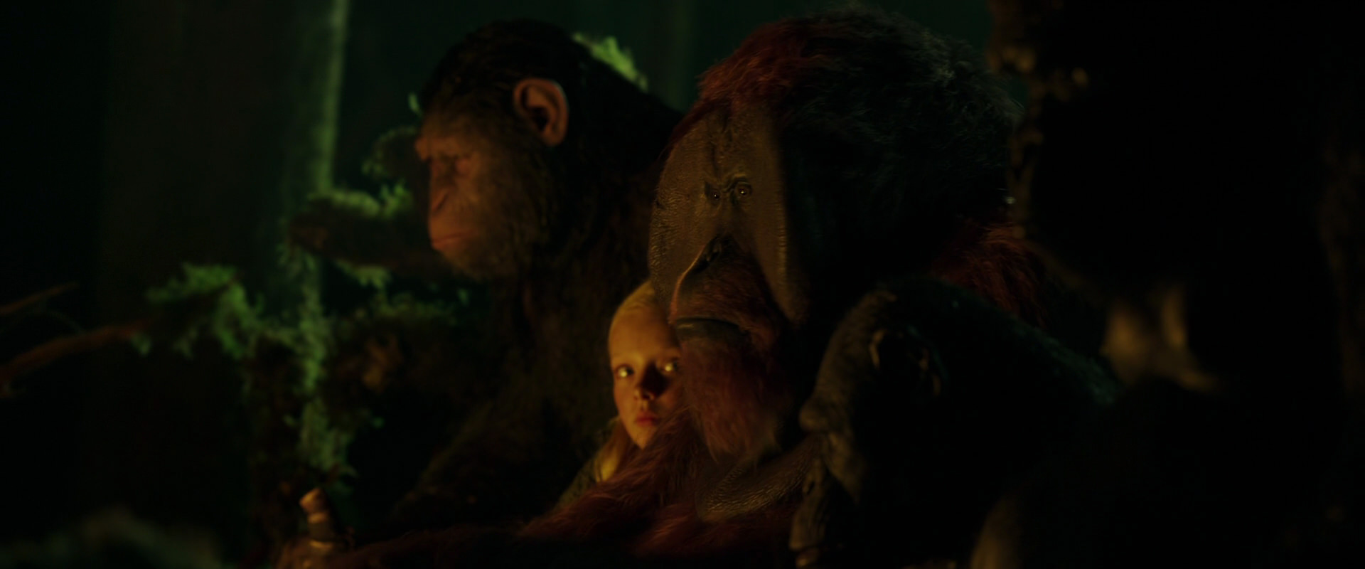 War for the Planet of the Apes (2017) movie still 4342