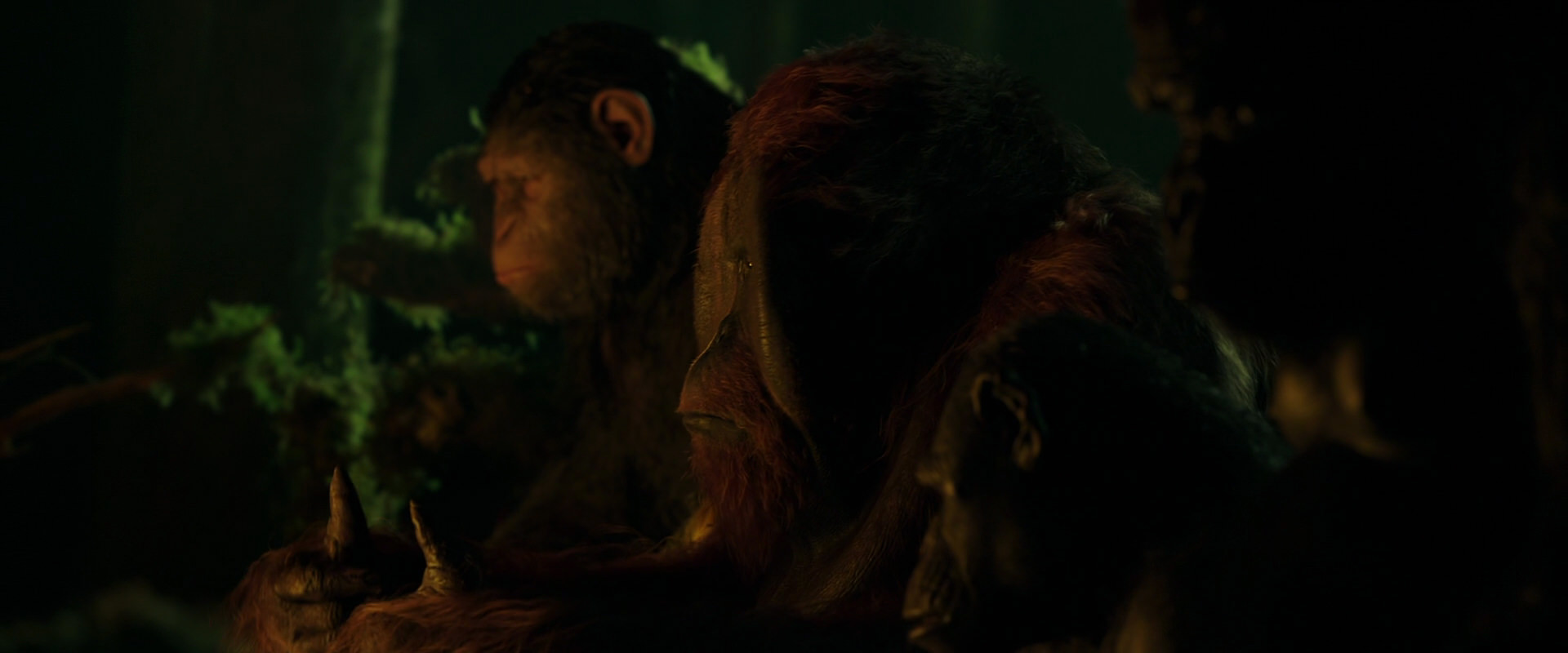 War for the Planet of the Apes (2017) screencap 4344