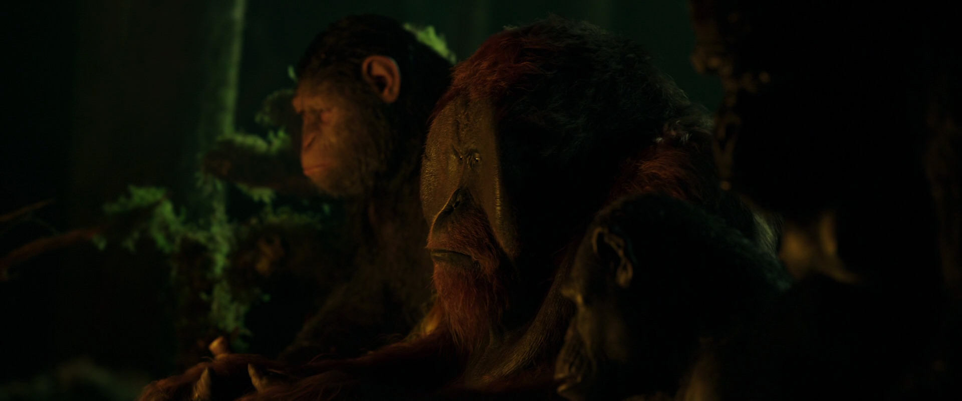 War for the Planet of the Apes (2017) movie still 4345