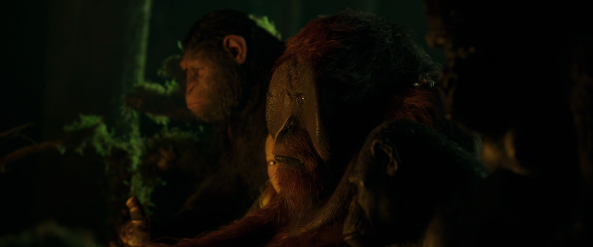 War for the Planet of the Apes (2017) HD screenshot 4346