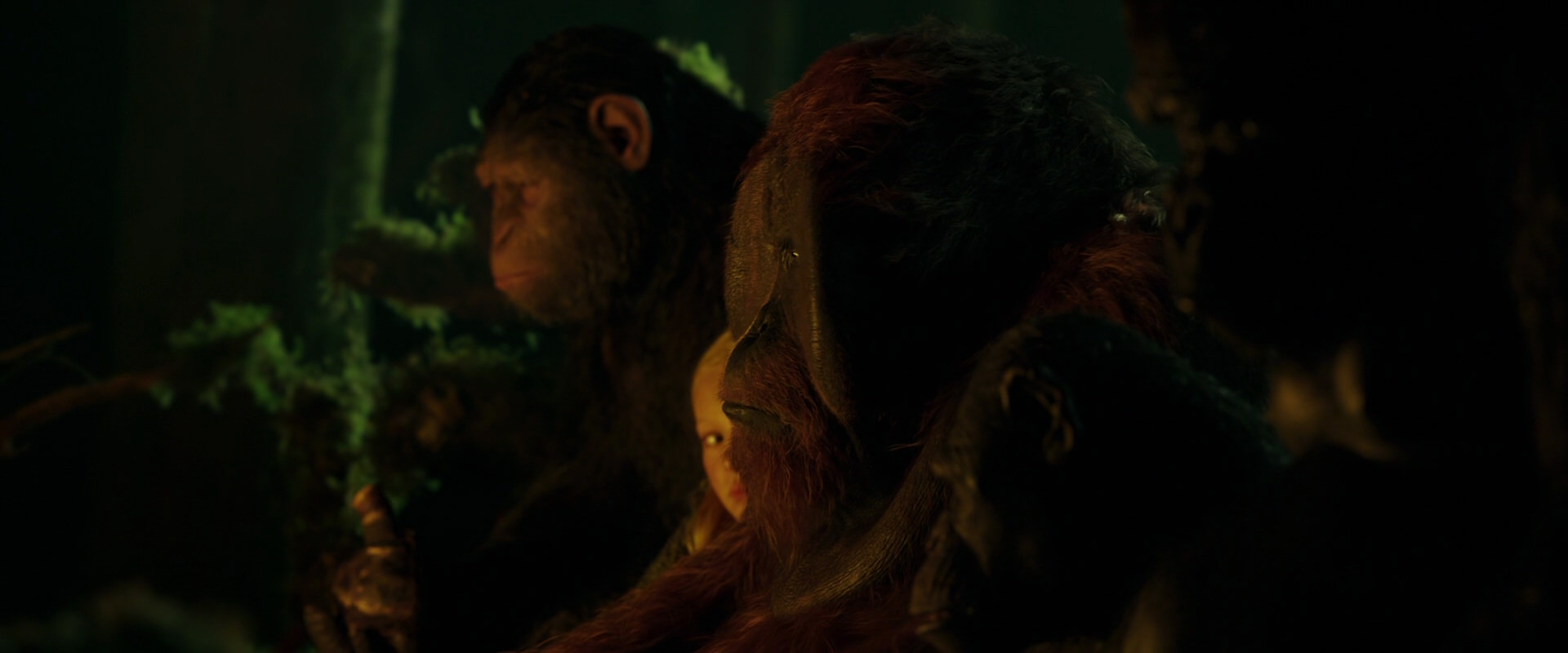 War for the Planet of the Apes (2017) screencap 4347