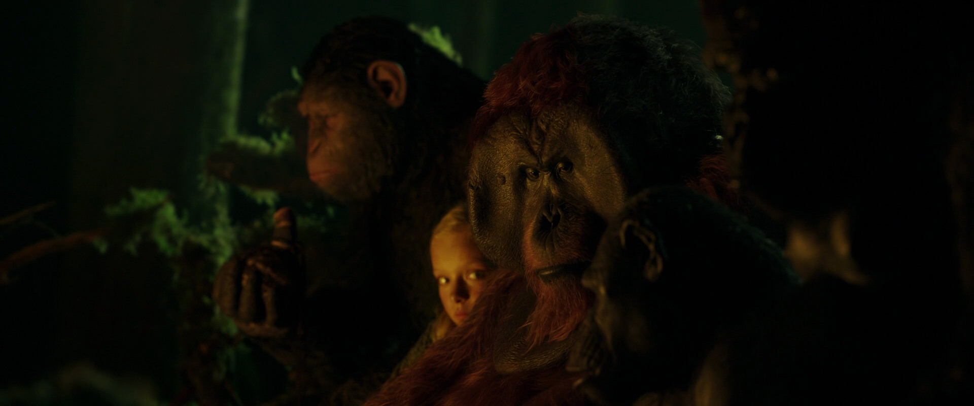 War for the Planet of the Apes (2017) movie still 4351