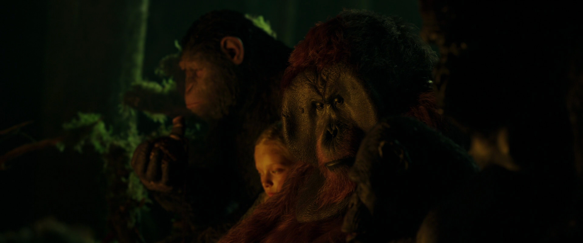 War for the Planet of the Apes (2017) screencap 4353