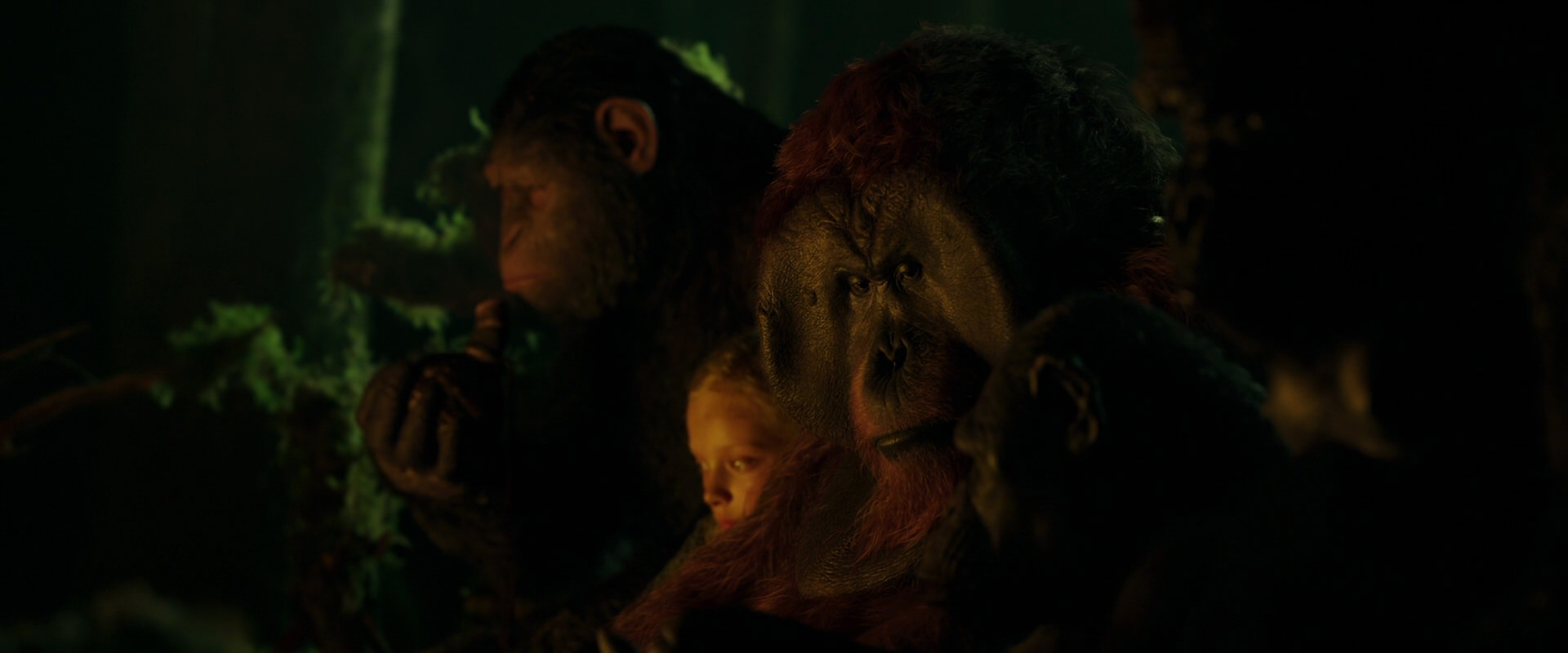 War for the Planet of the Apes (2017) movie still 4354