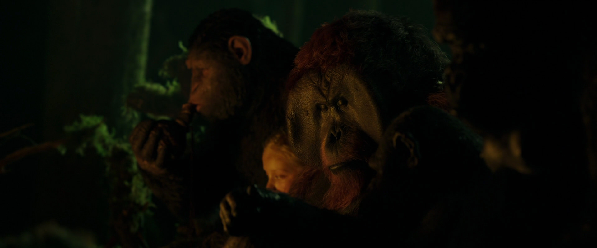 War for the Planet of the Apes (2017) screencap 4356