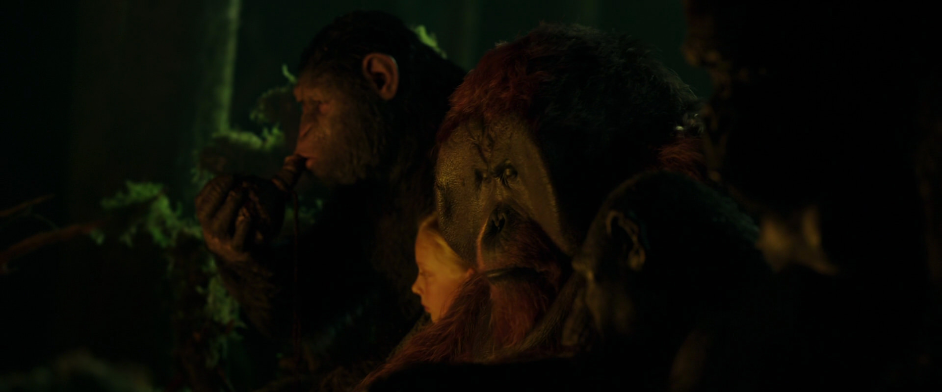 War for the Planet of the Apes (2017) movie still 4357