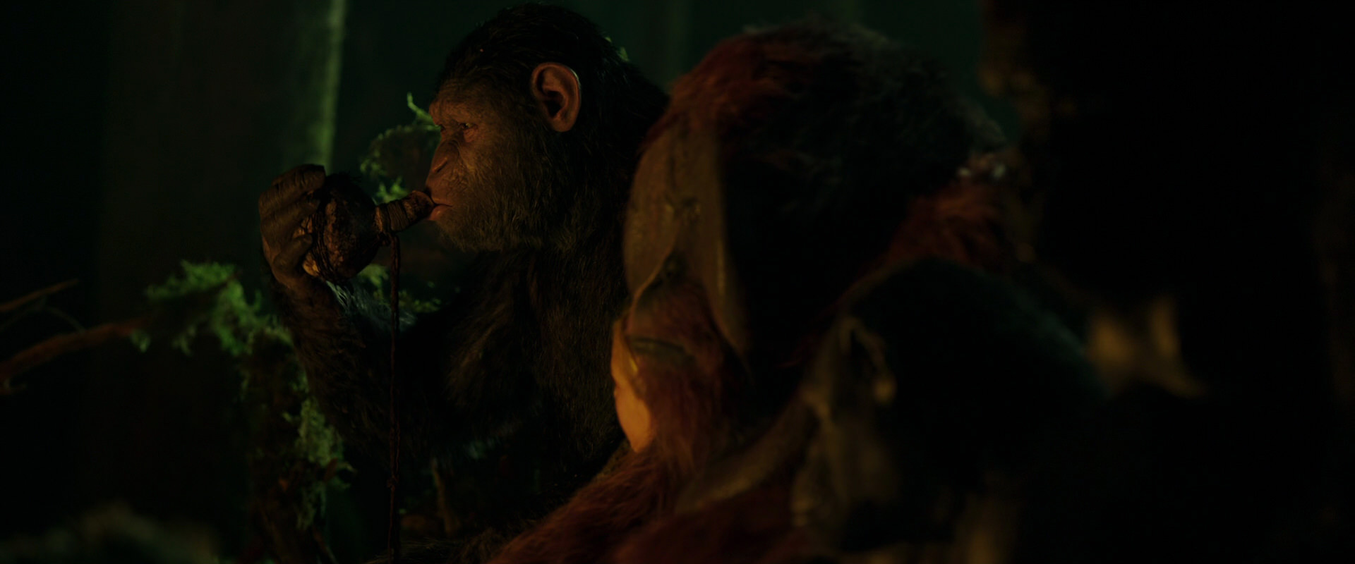 War for the Planet of the Apes (2017) screencap 4359