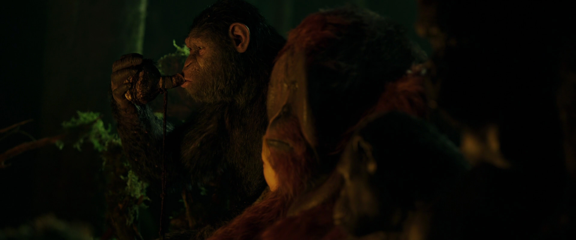 War for the Planet of the Apes (2017) movie still 4360