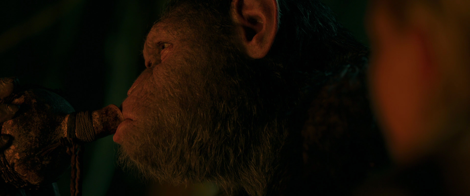 War for the Planet of the Apes (2017) HD screenshot 4361