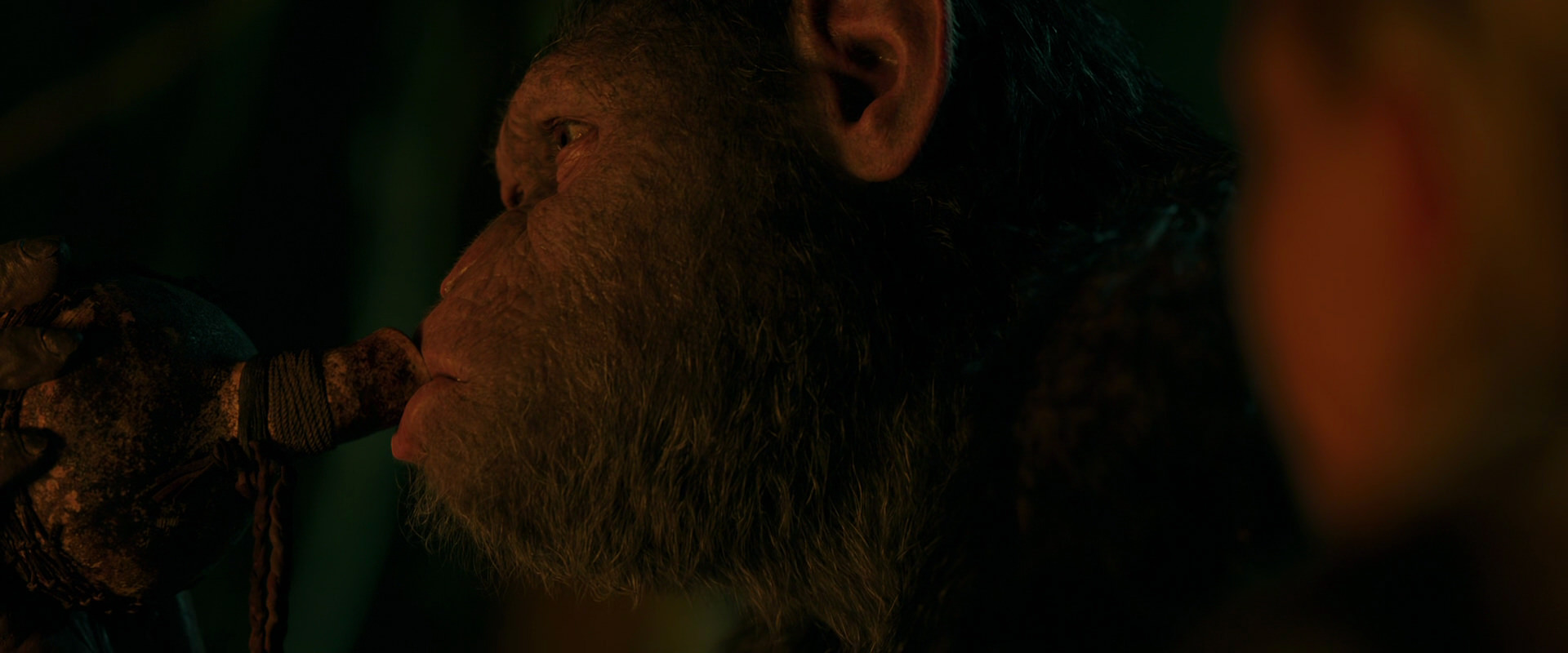 War for the Planet of the Apes (2017) screencap 4362