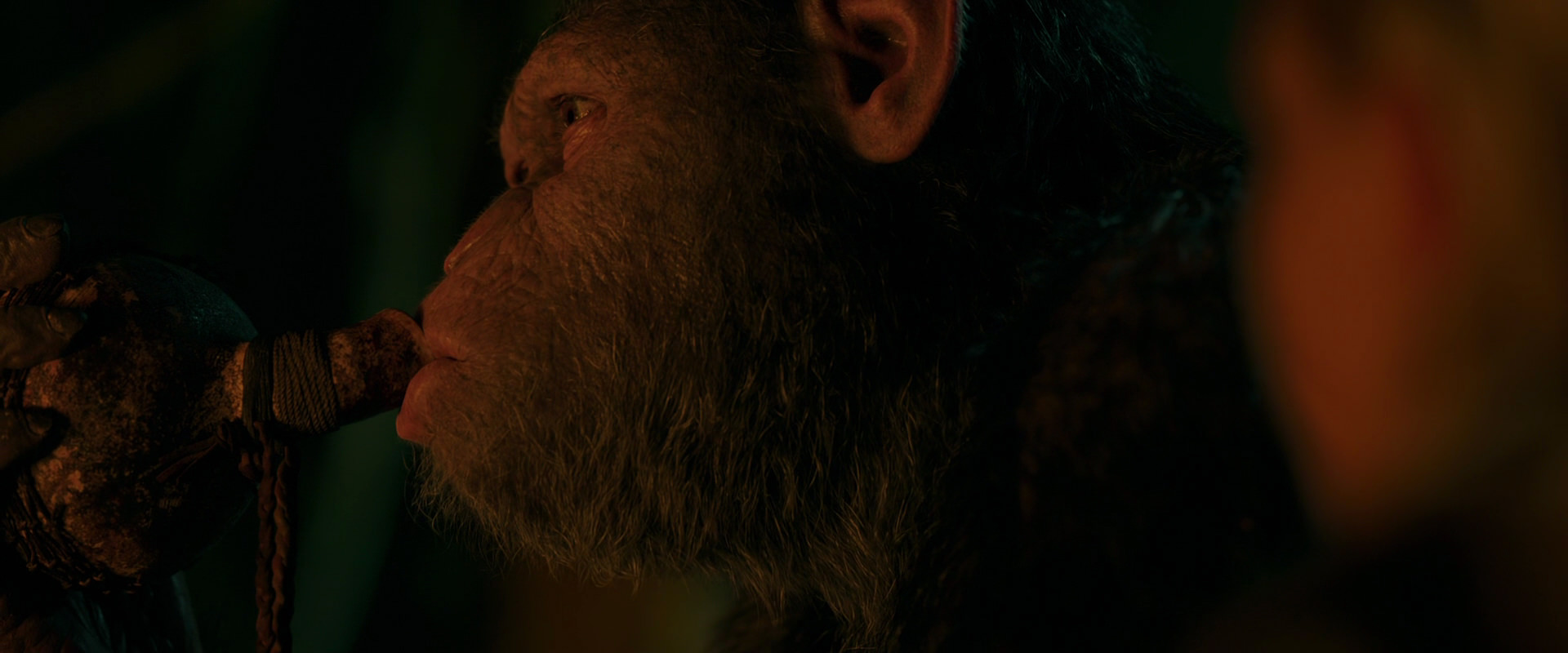 War for the Planet of the Apes (2017) movie still 4363