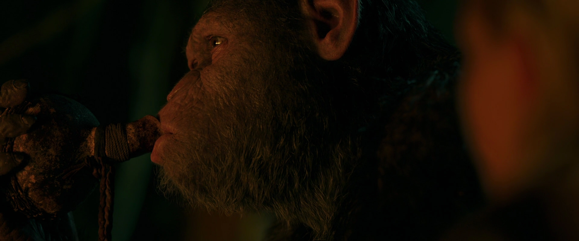 War for the Planet of the Apes (2017) HD screenshot 4364