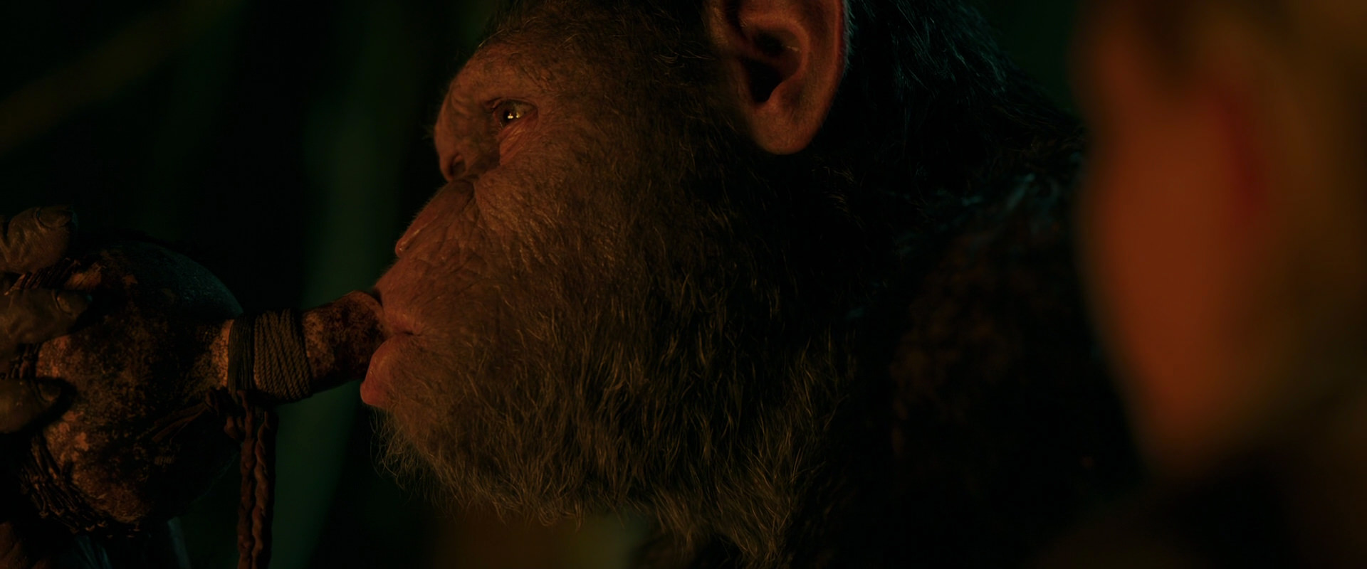 War for the Planet of the Apes (2017) screencap 4365