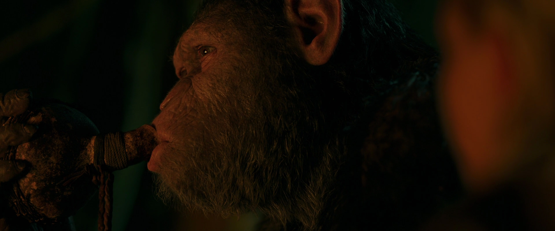 War for the Planet of the Apes (2017) movie still 4366