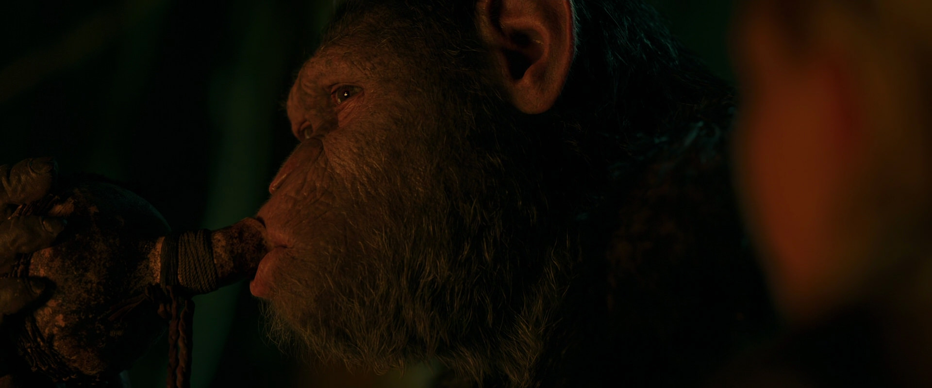 War for the Planet of the Apes (2017) HD screenshot 4367