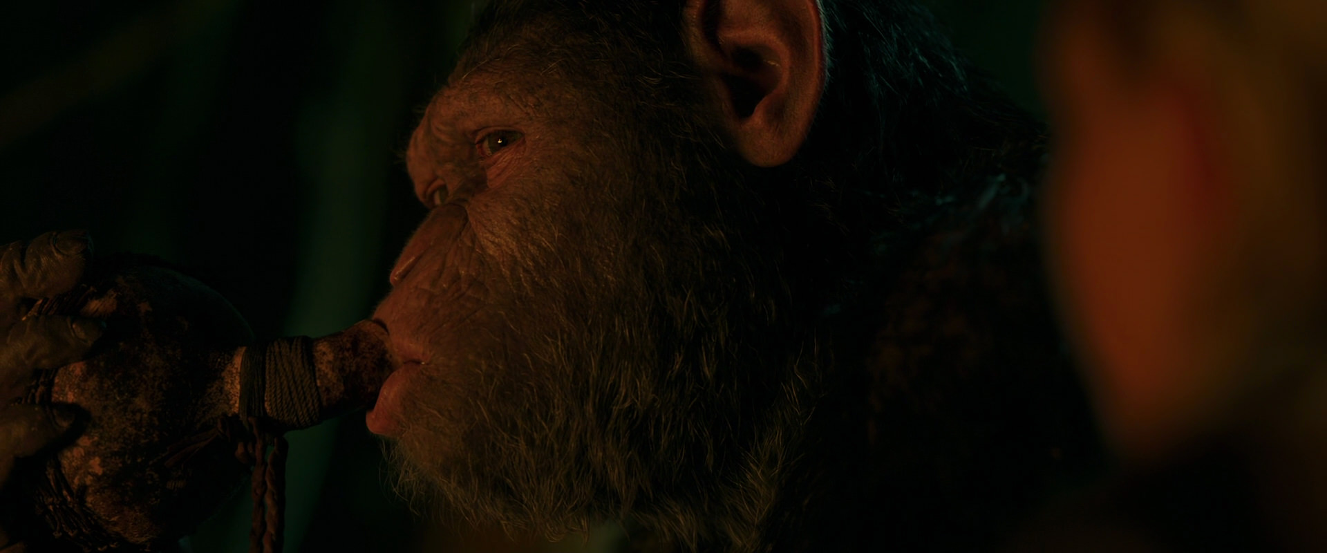 War for the Planet of the Apes (2017) screencap 4368