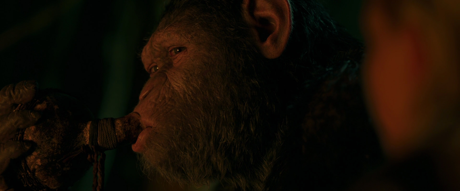War for the Planet of the Apes (2017) movie still 4369