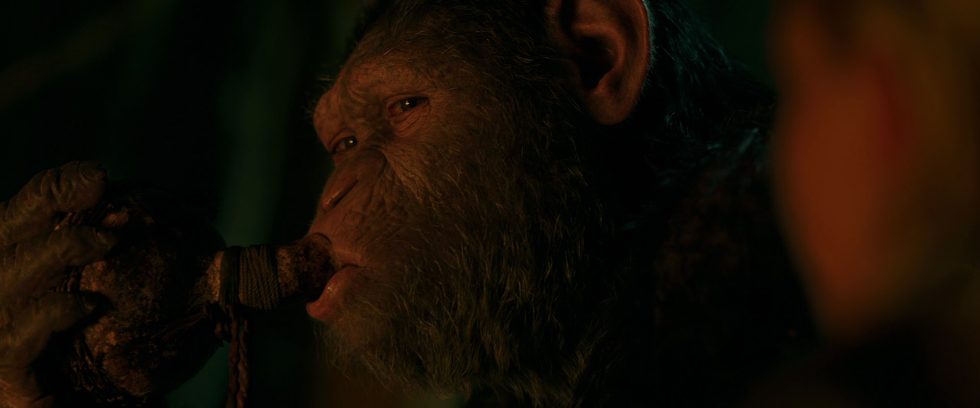 War for the Planet of the Apes (2017) HD screenshot 4370