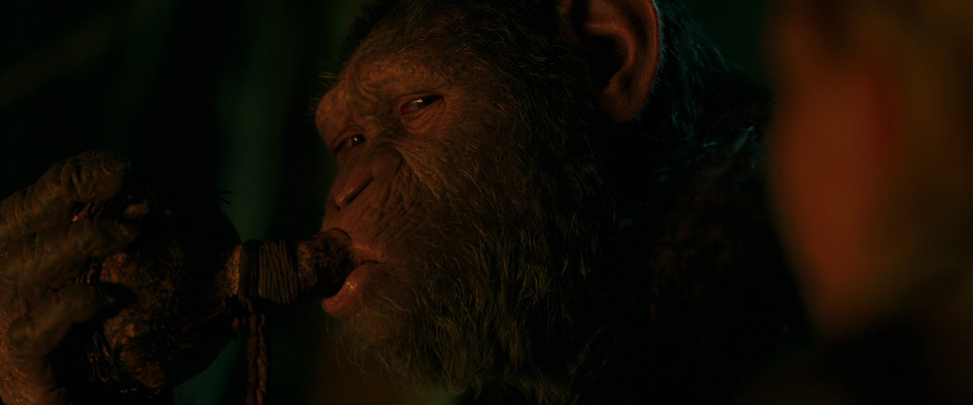 War for the Planet of the Apes (2017) screencap 4371