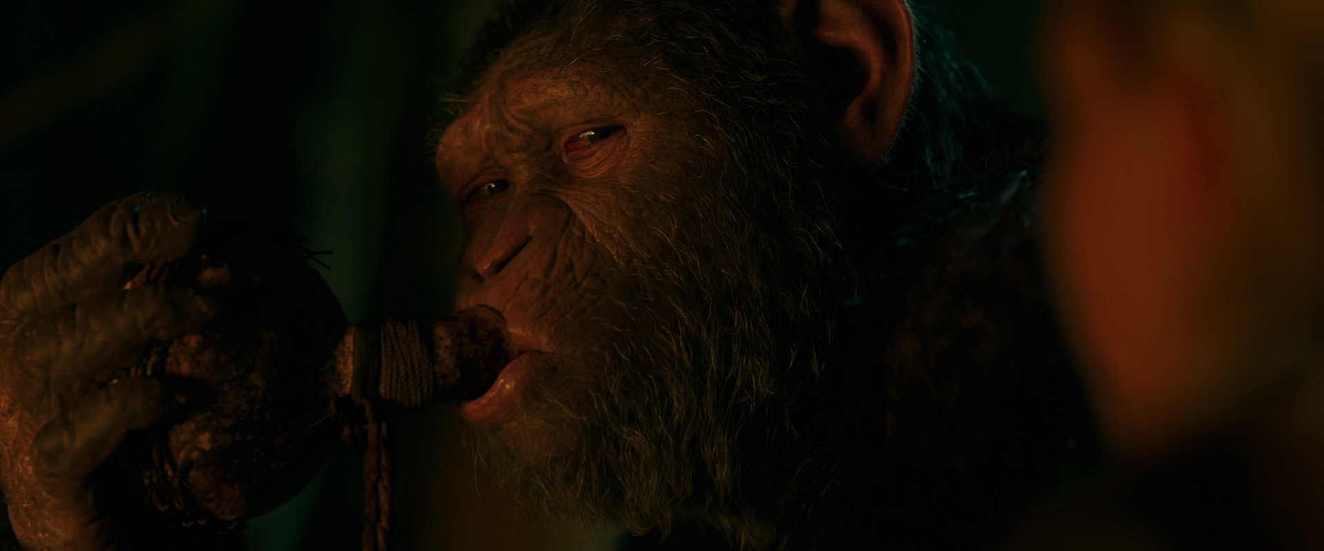 War for the Planet of the Apes (2017) movie still 4372