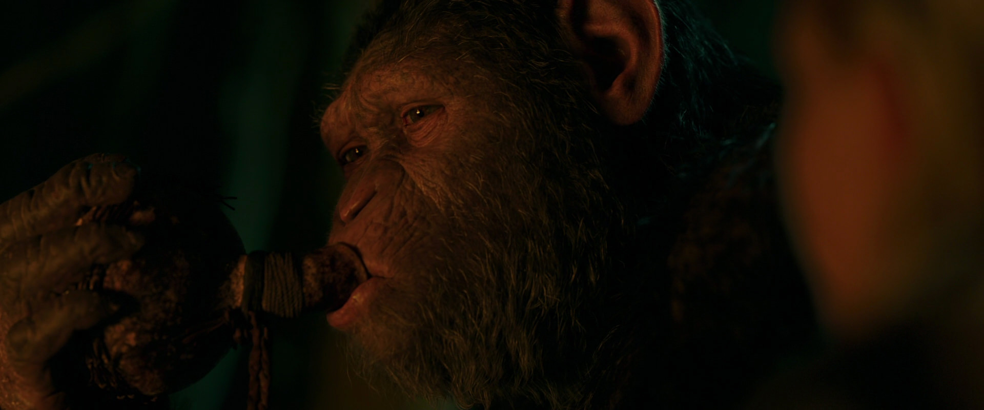 War for the Planet of the Apes (2017) screencap 4383