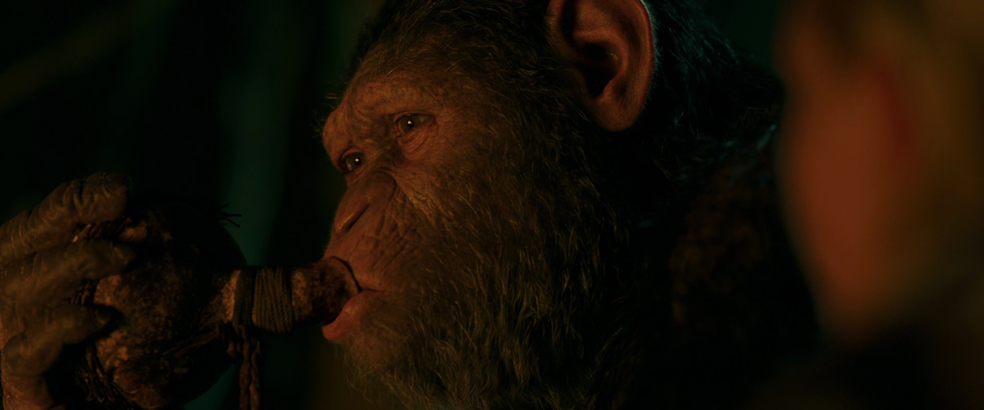War for the Planet of the Apes (2017) movie still 4384