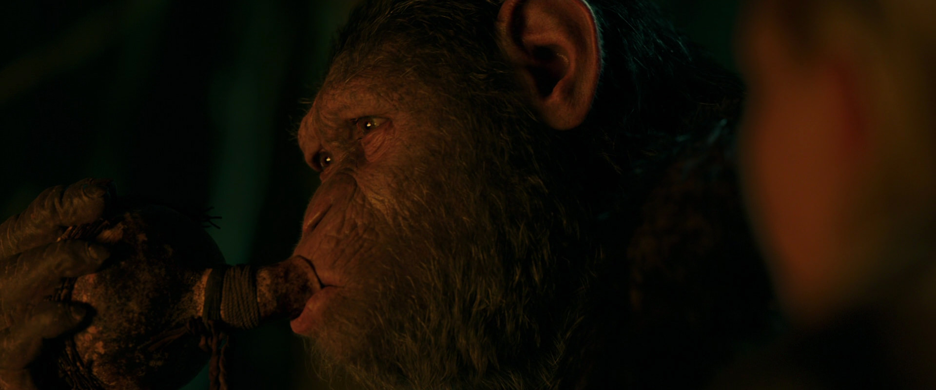 War for the Planet of the Apes (2017) HD screenshot 4385