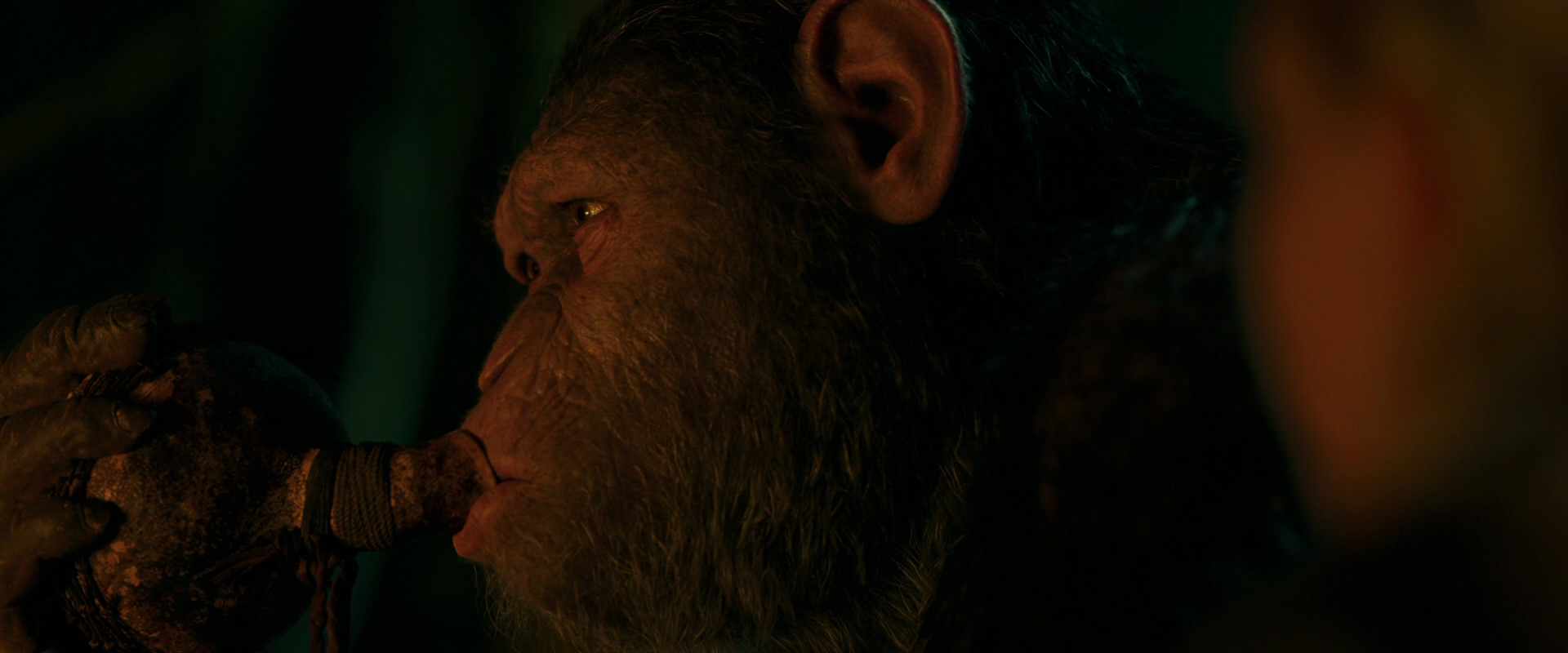 War for the Planet of the Apes (2017) screencap 4386