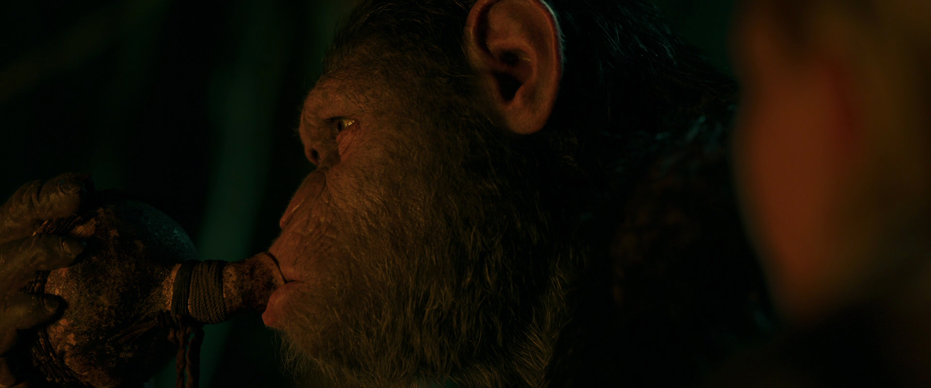 War for the Planet of the Apes (2017) movie still 4387
