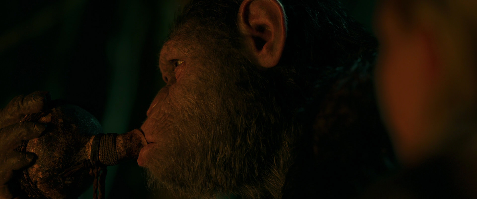War for the Planet of the Apes (2017) HD screenshot 4388