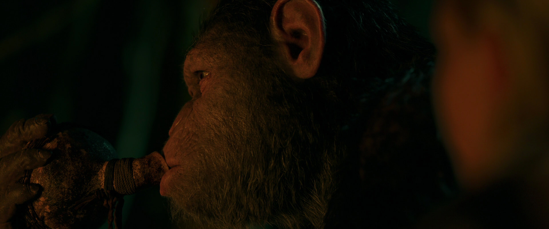 War for the Planet of the Apes (2017) screencap 4389
