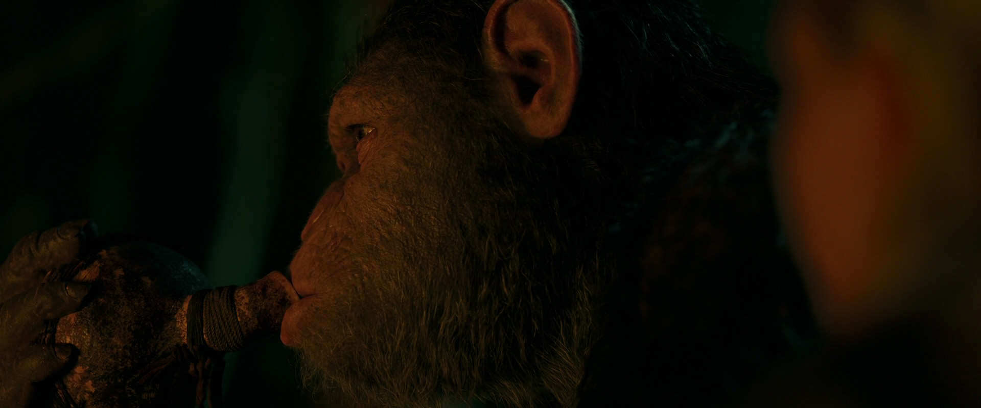 War for the Planet of the Apes (2017) movie still 4390