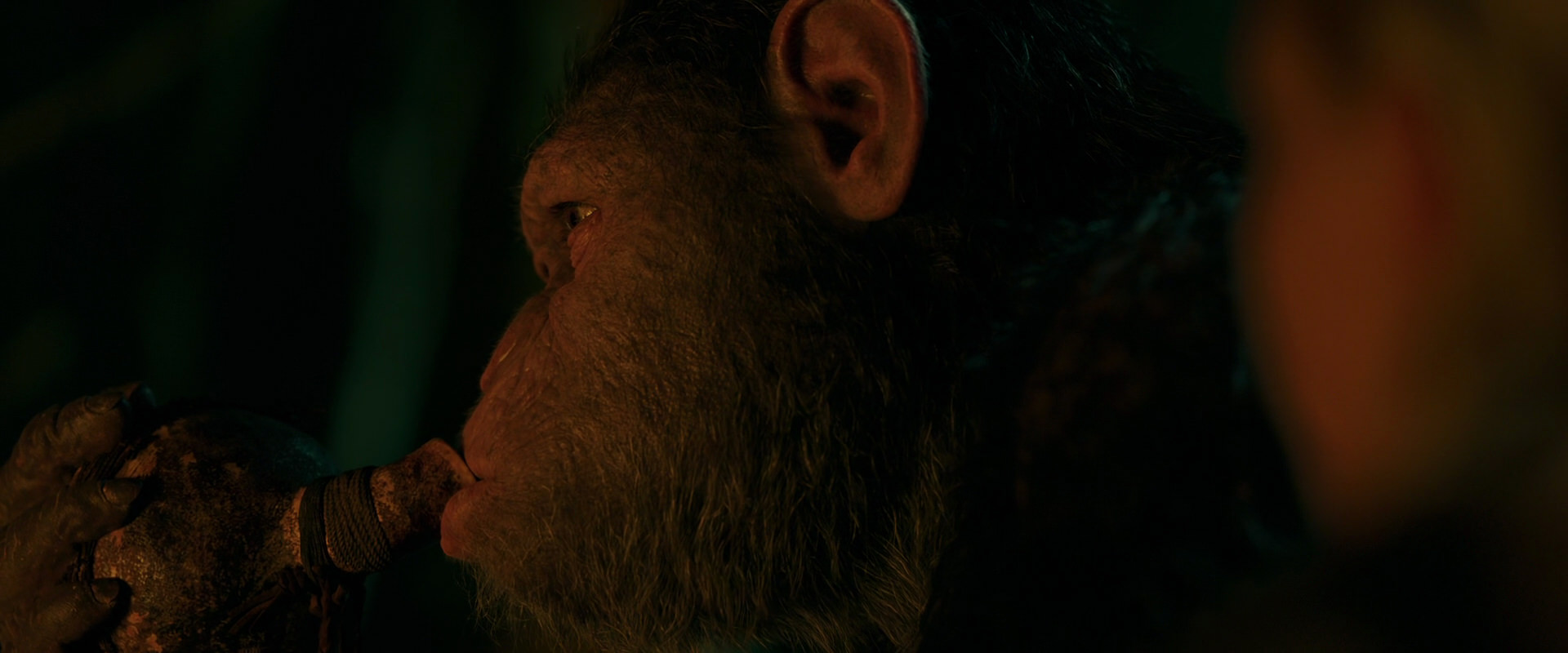War for the Planet of the Apes (2017) HD screenshot 4391