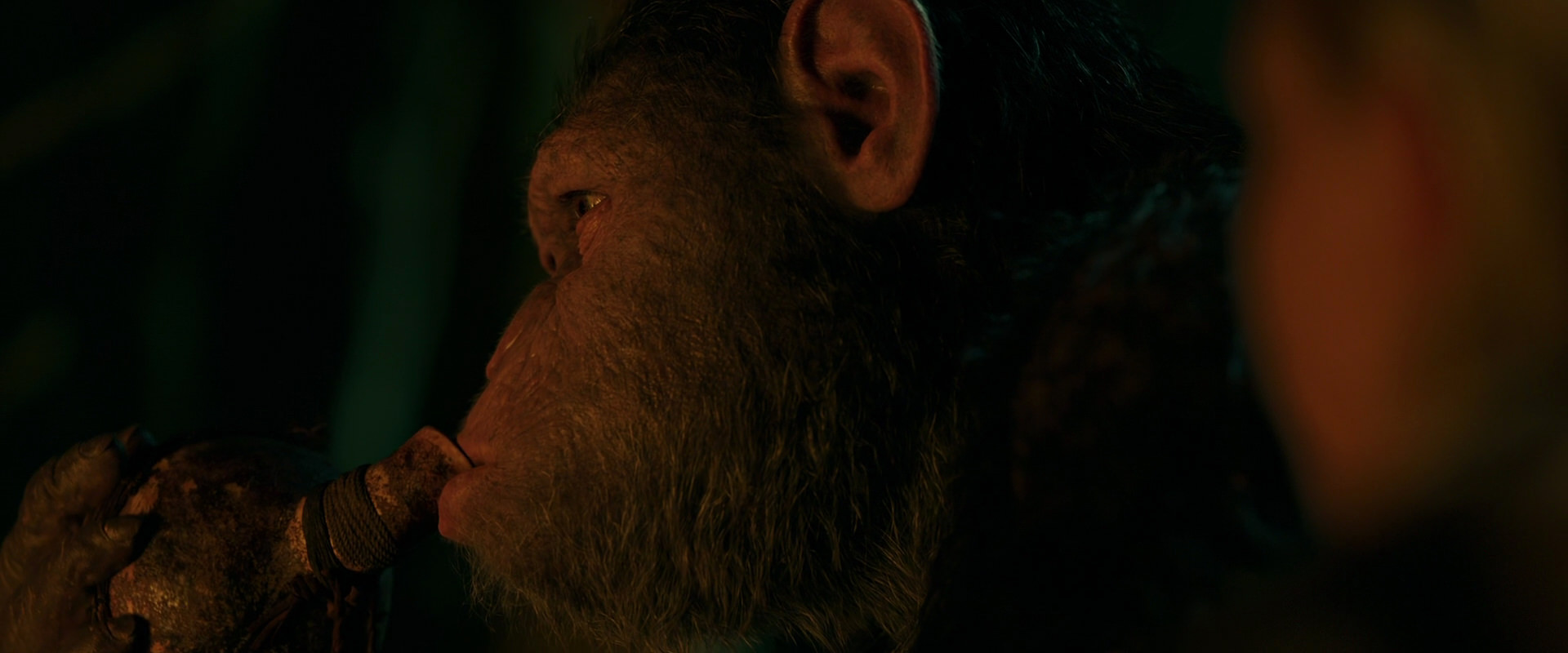 War for the Planet of the Apes (2017) screencap 4392