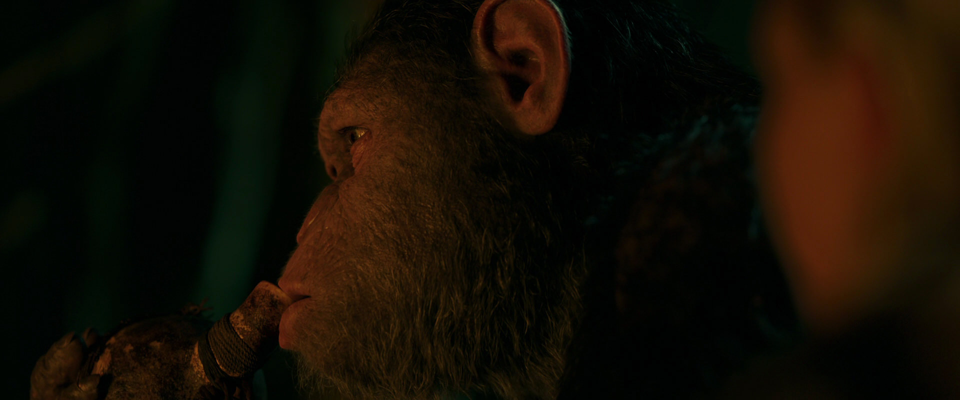 War for the Planet of the Apes (2017) movie still 4393