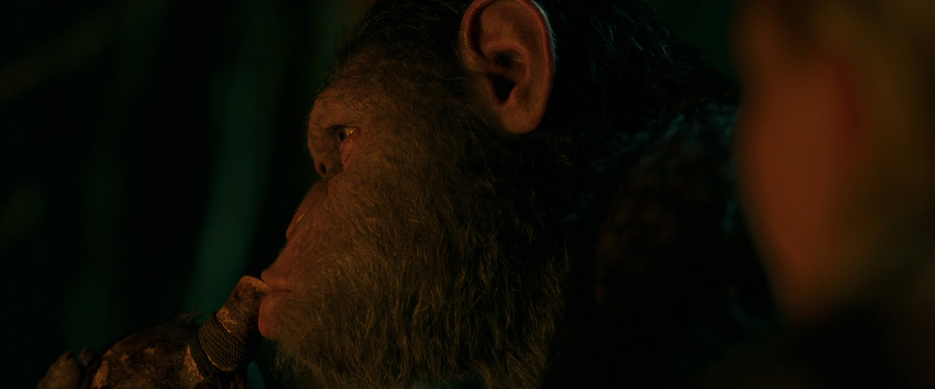 War for the Planet of the Apes (2017) HD screenshot 4394
