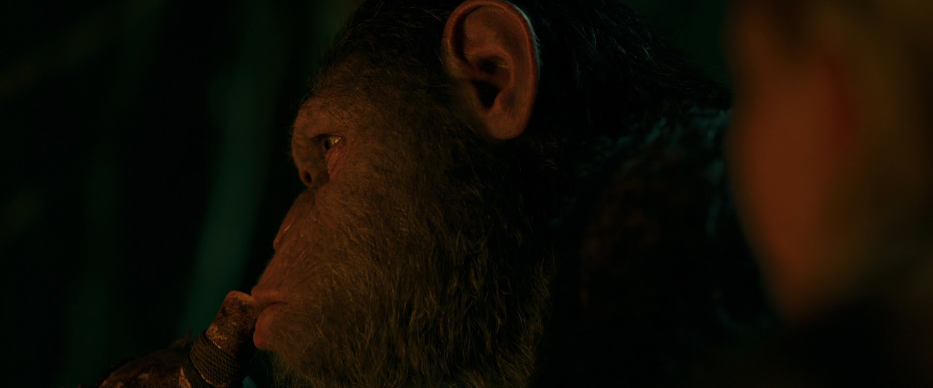 War for the Planet of the Apes (2017) screencap 4395