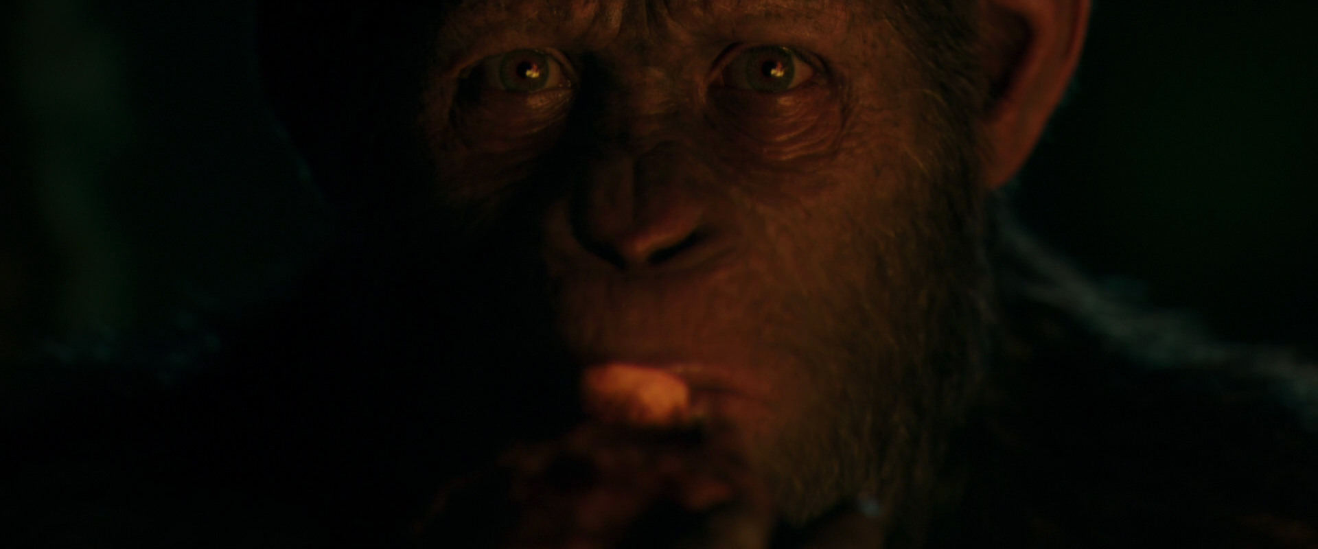 War for the Planet of the Apes (2017) movie still 4396