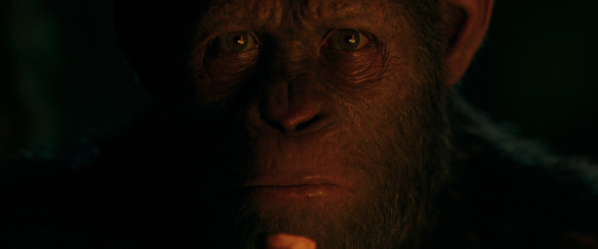 War for the Planet of the Apes (2017) screencap 4398